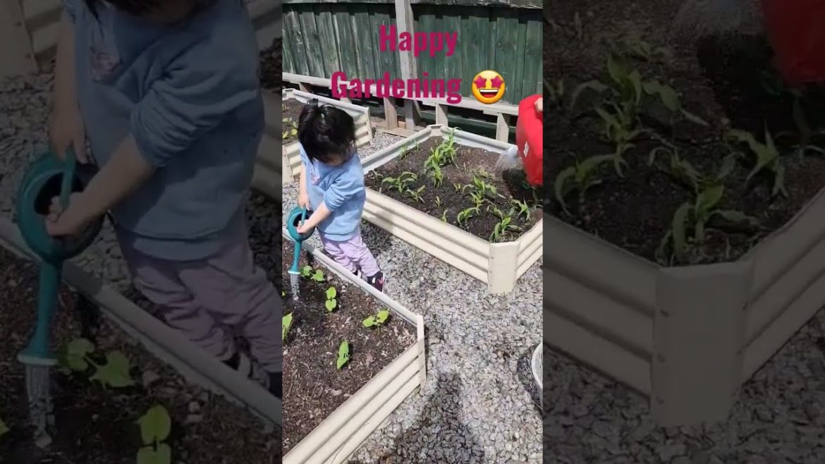 It's Fun Time | Happy Gardening #shorts #fun #gardening