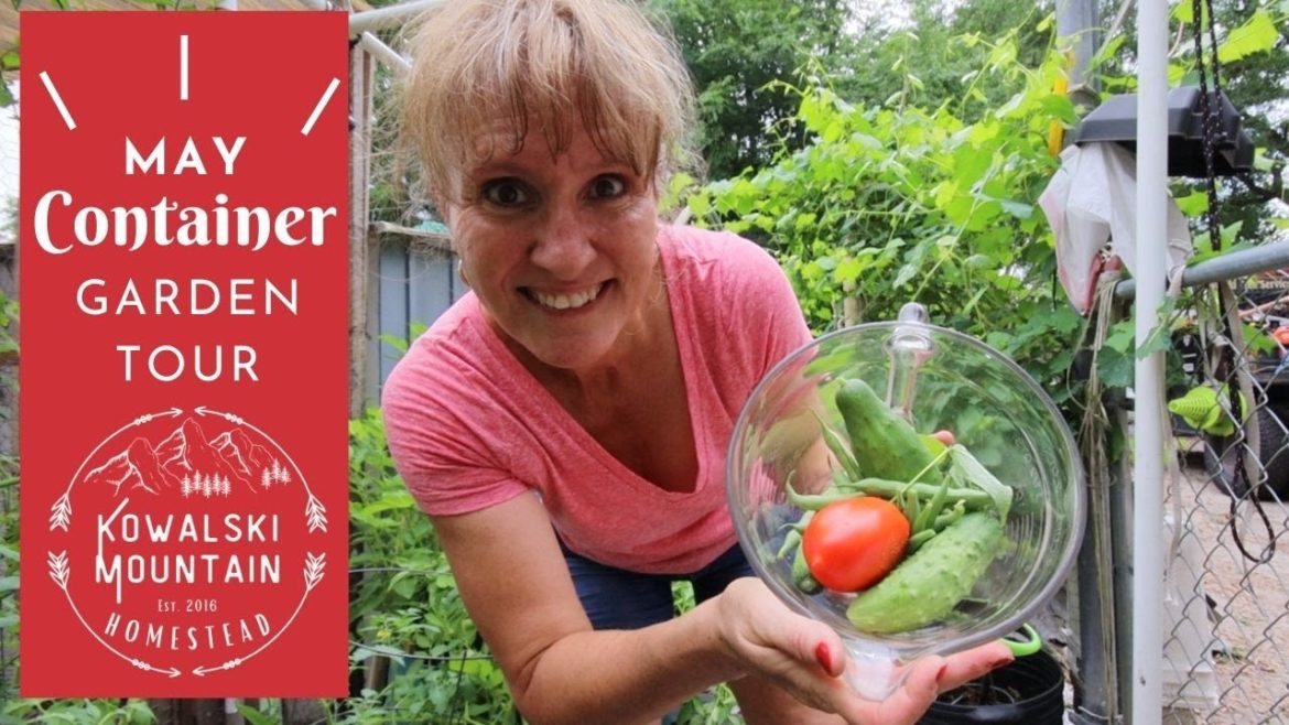 May Container Garden Tour | Garden Zone 9A May Container Garden Tour | Garden Zone 9A