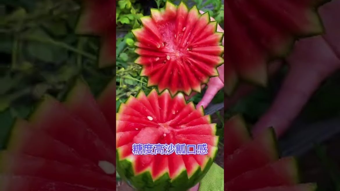October 2022 Tips for garden at home with me October 2022 Tips for garden at home with me