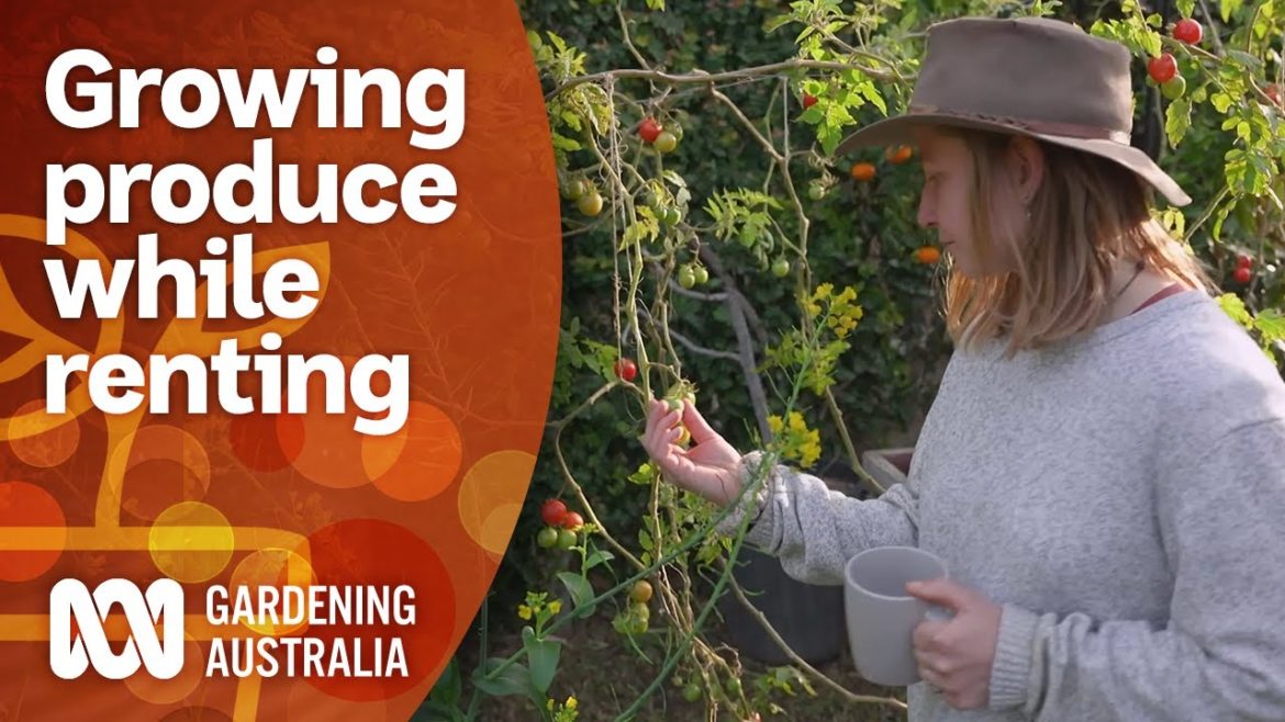 Touring a productive edible garden in a rental house | Garden Inspiration | Gardening Australia