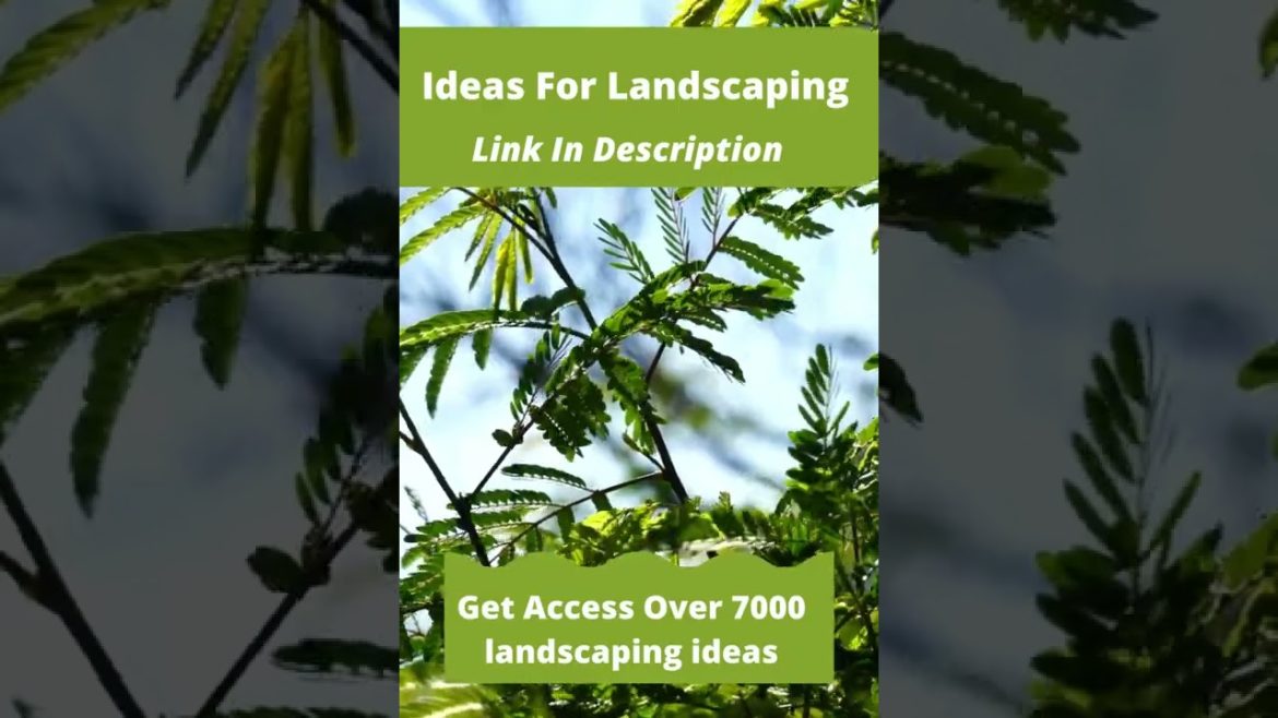 Landscaping ideas and designs #shorts