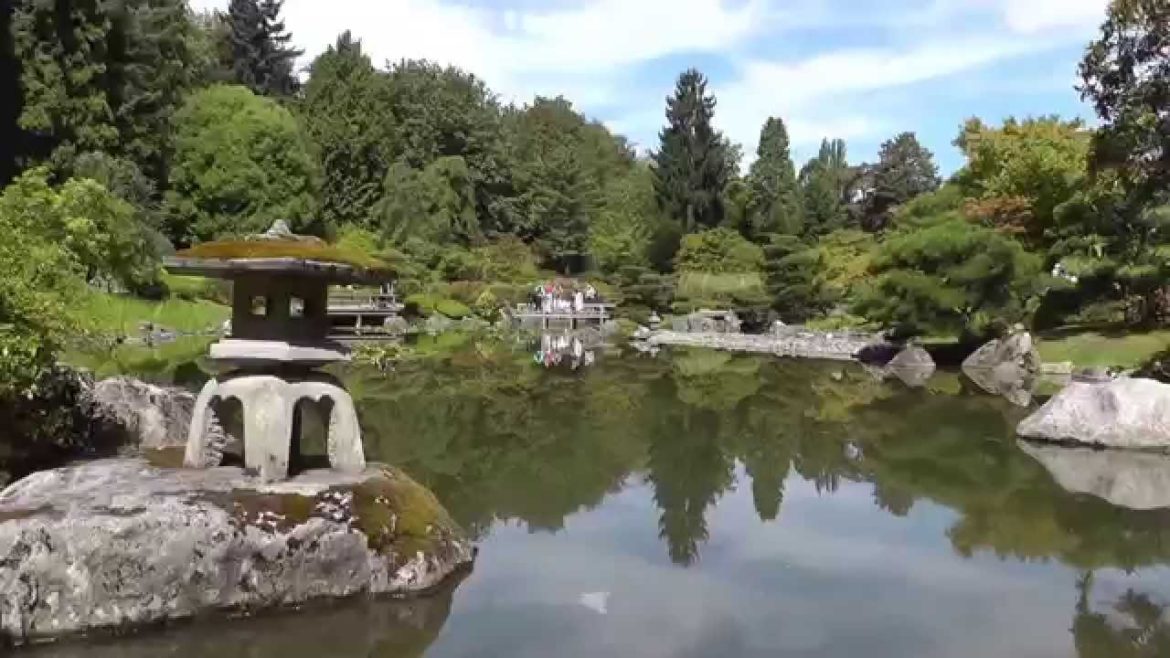 Japanese Garden in  Washington Park Arboretum Seattle - "WANDERING & WONDERING" 2015