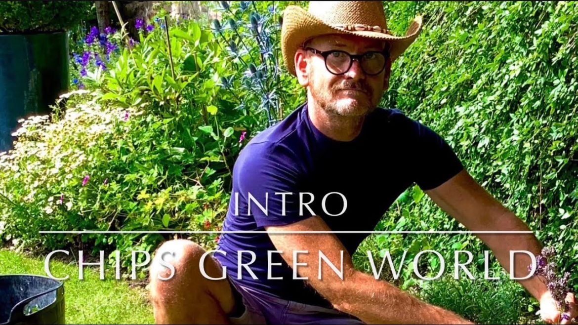 New Intro CHIPS GREEN WORLD #gardener #garden #gardening #gardenworld #courtyard gardening tips