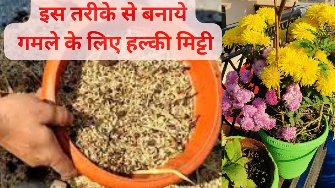 how to make light potting mix for container gardening/गमले के लिए पोटिंग मिक्स बनाने का नया तरीका how to make light potting mix for container gardening/गमले के लिए पोटिंग मिक्स बनाने का नया तरीका