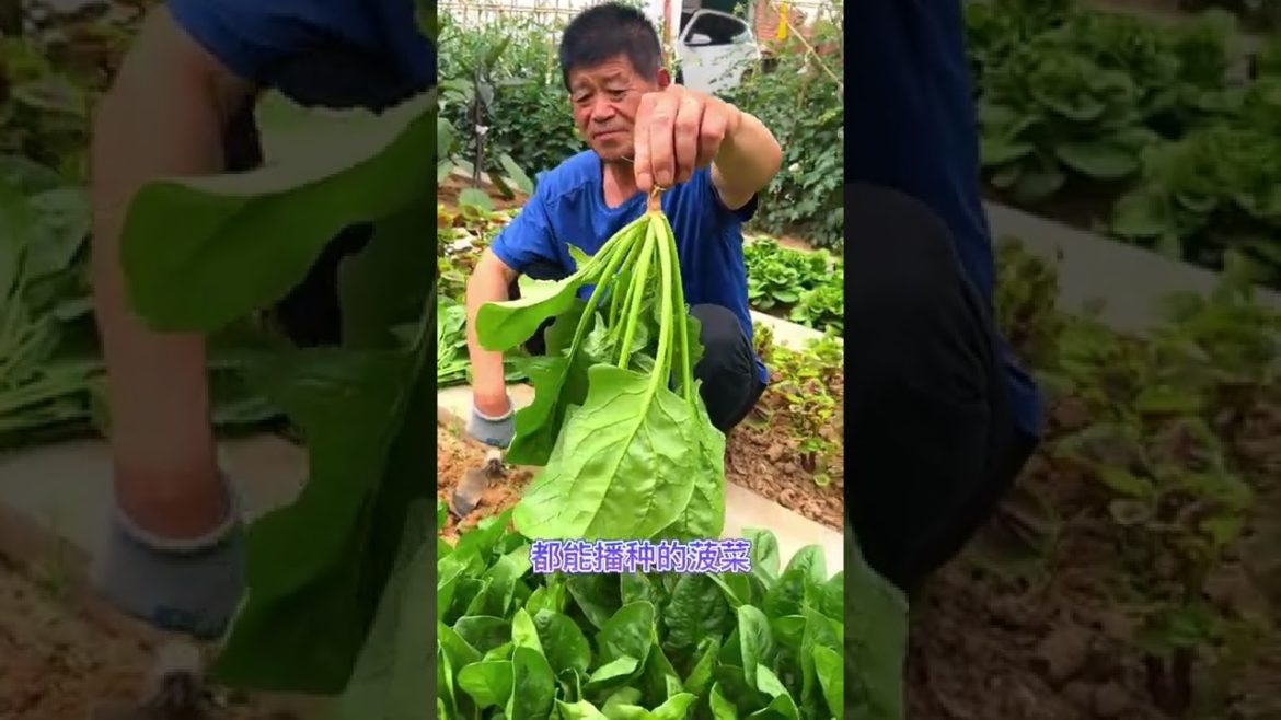 October 2022 Tips for garden at home with me October 2022 Tips for garden at home with me