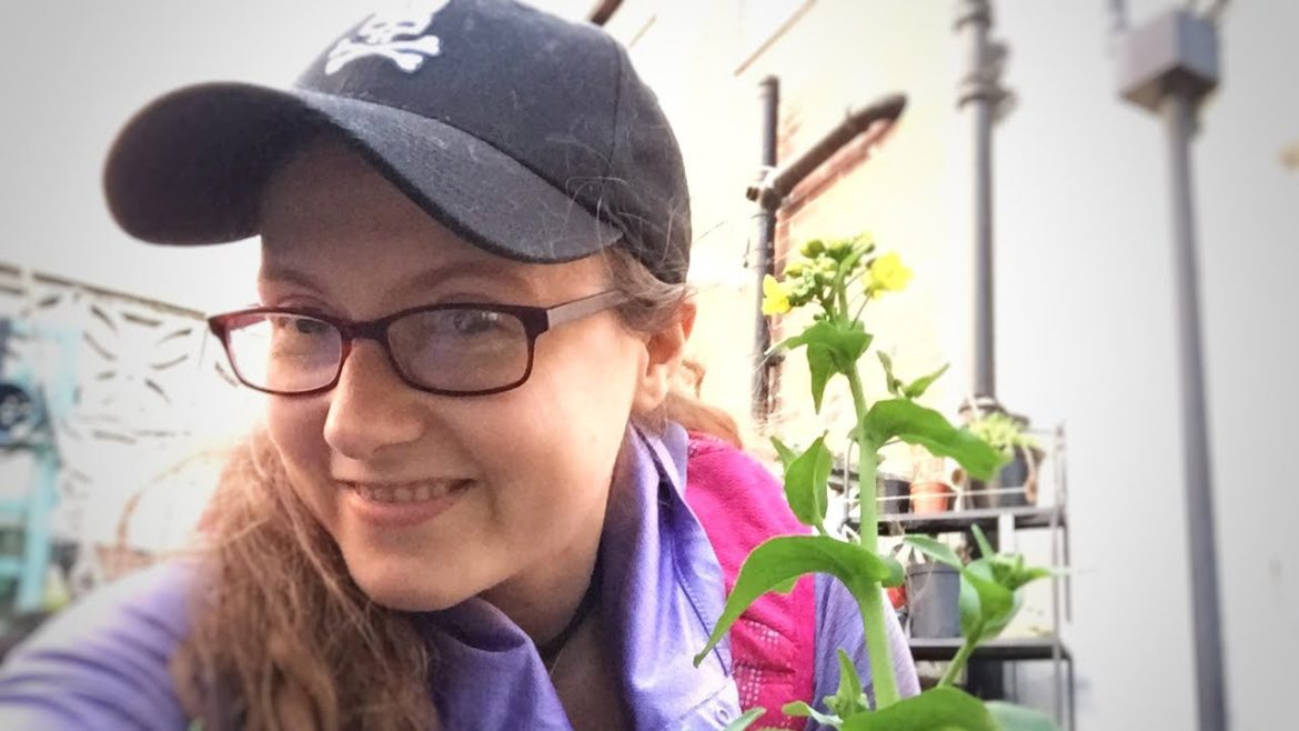 Happy Spring | Spring Urban Container Garden Tour 2022
