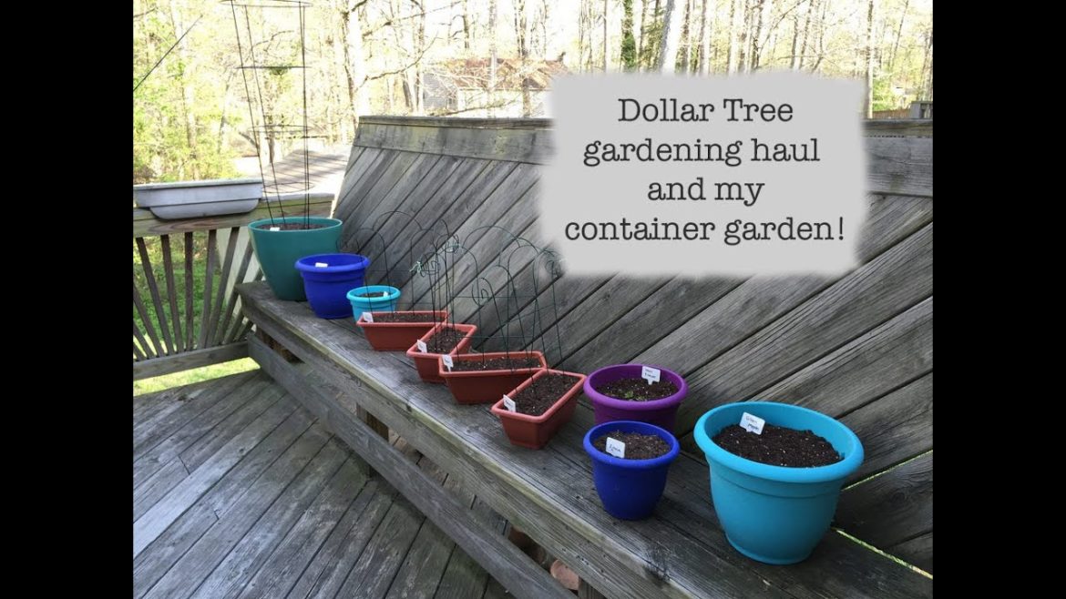 Potting bench tour, Dollar Tree gardening haul, and my container garden! Potting bench tour, Dollar Tree gardening haul, and my container garden!