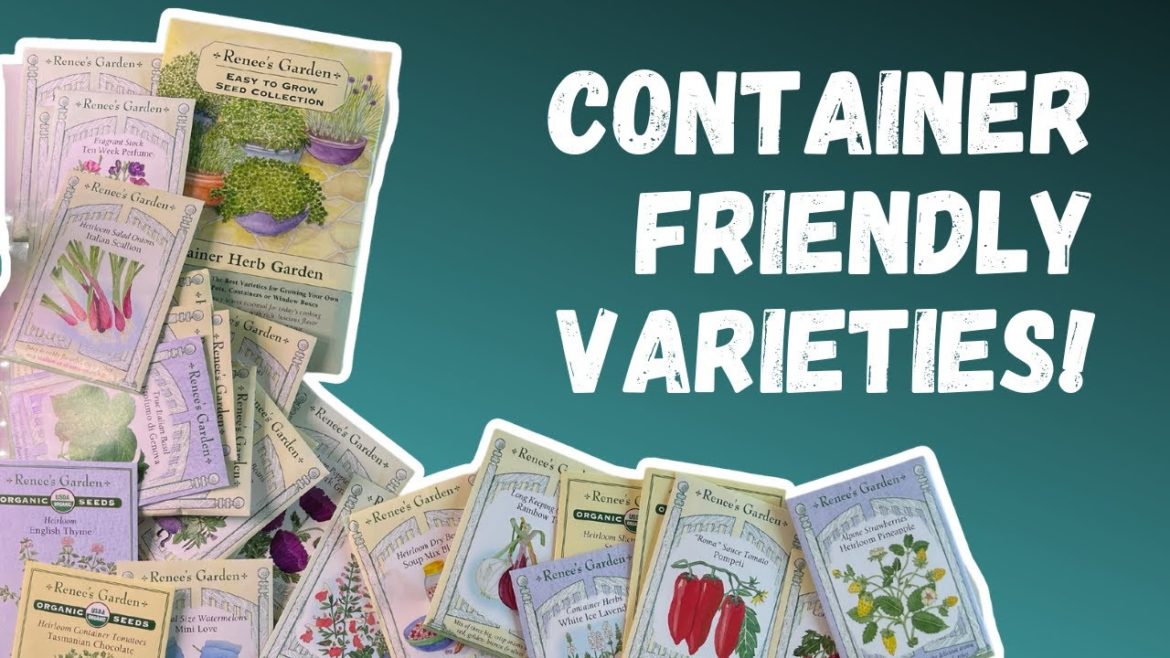 EPIC Renee's Garden Seed Haul | Container gardening seed varieties EPIC Renee's Garden Seed Haul | Container gardening seed varieties