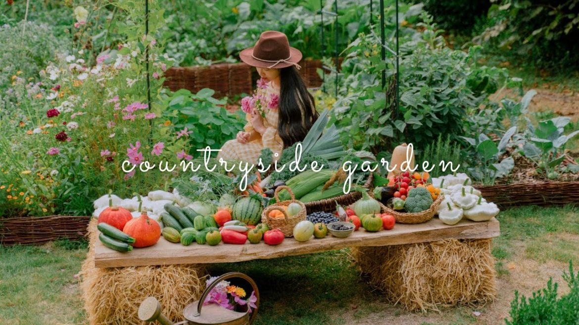 #84 Growing a Vegetables Garden from an Empty Backyard | Countryside Life #84 Growing a Vegetables Garden from an Empty Backyard | Countryside Life