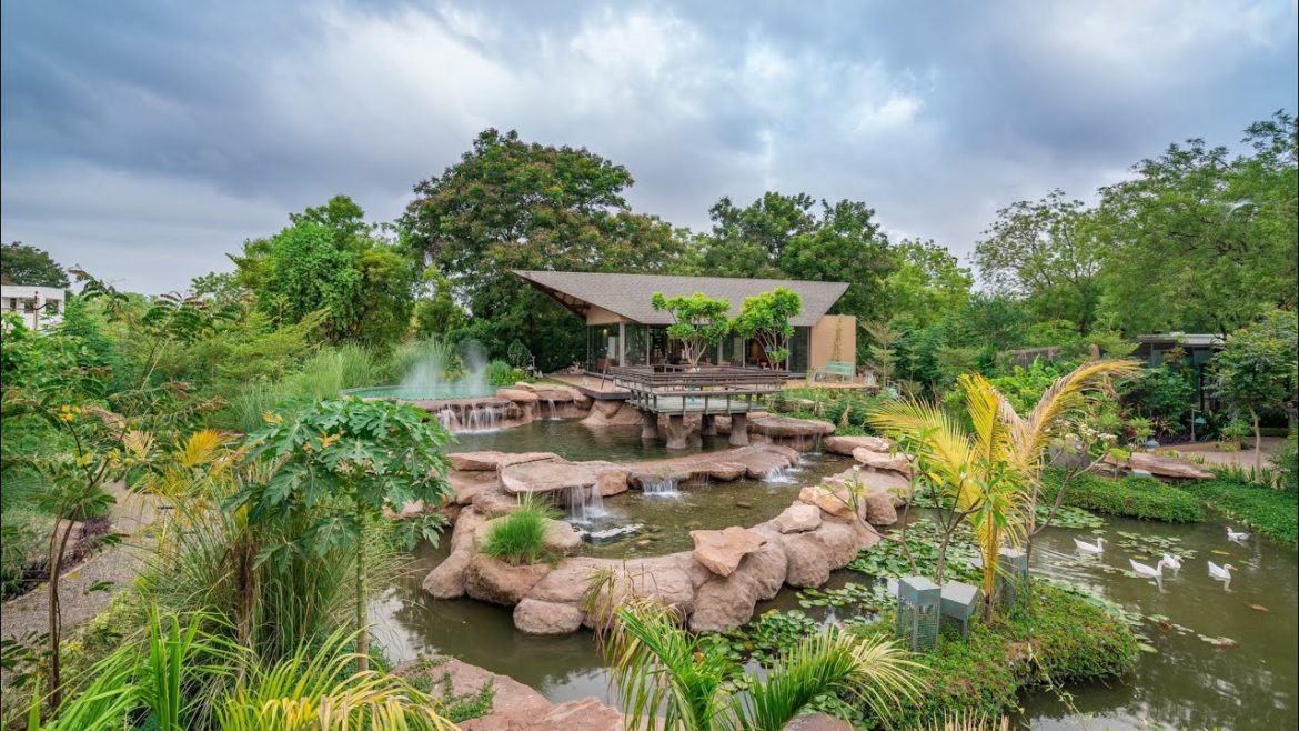 Kalrav Farm Designed By VPA Landscape by Jinal Patel #landscape Kalrav Farm Designed By VPA Landscape by Jinal Patel #landscape