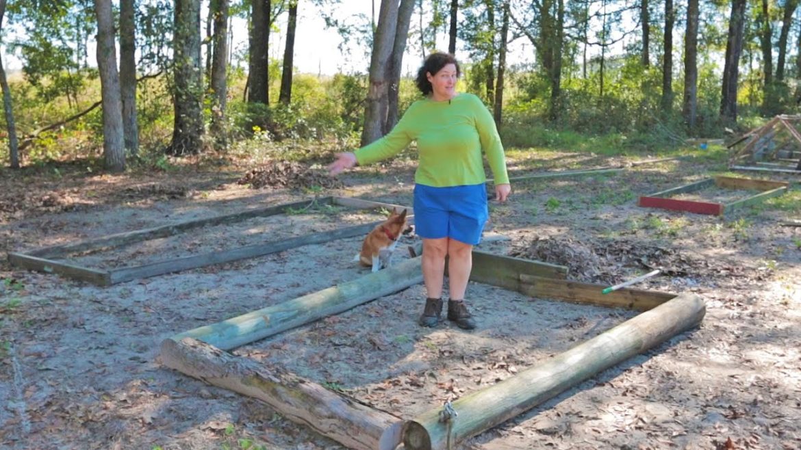 diy Planter Box: Raised Bed Gardening Tips