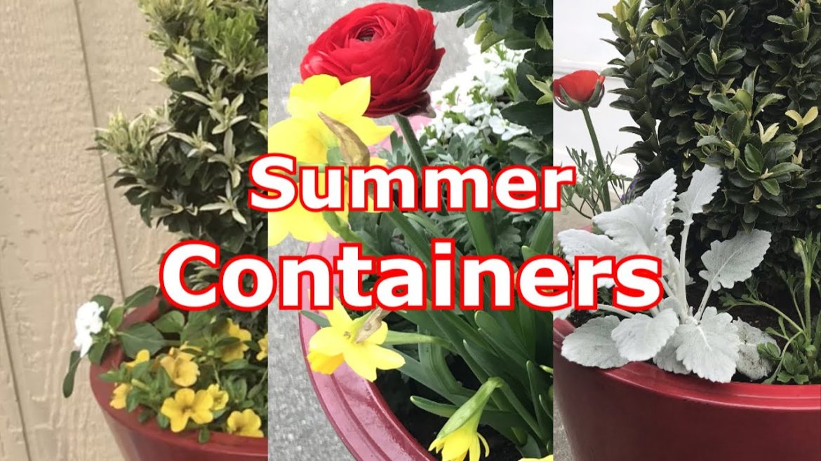 Planting Summer Container Garden & A Two Tone House