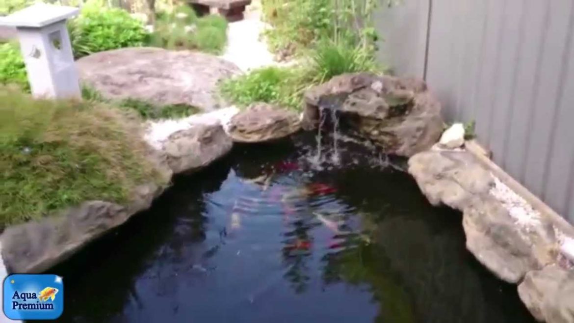 Amazing Japanese Garden with Universal Rock