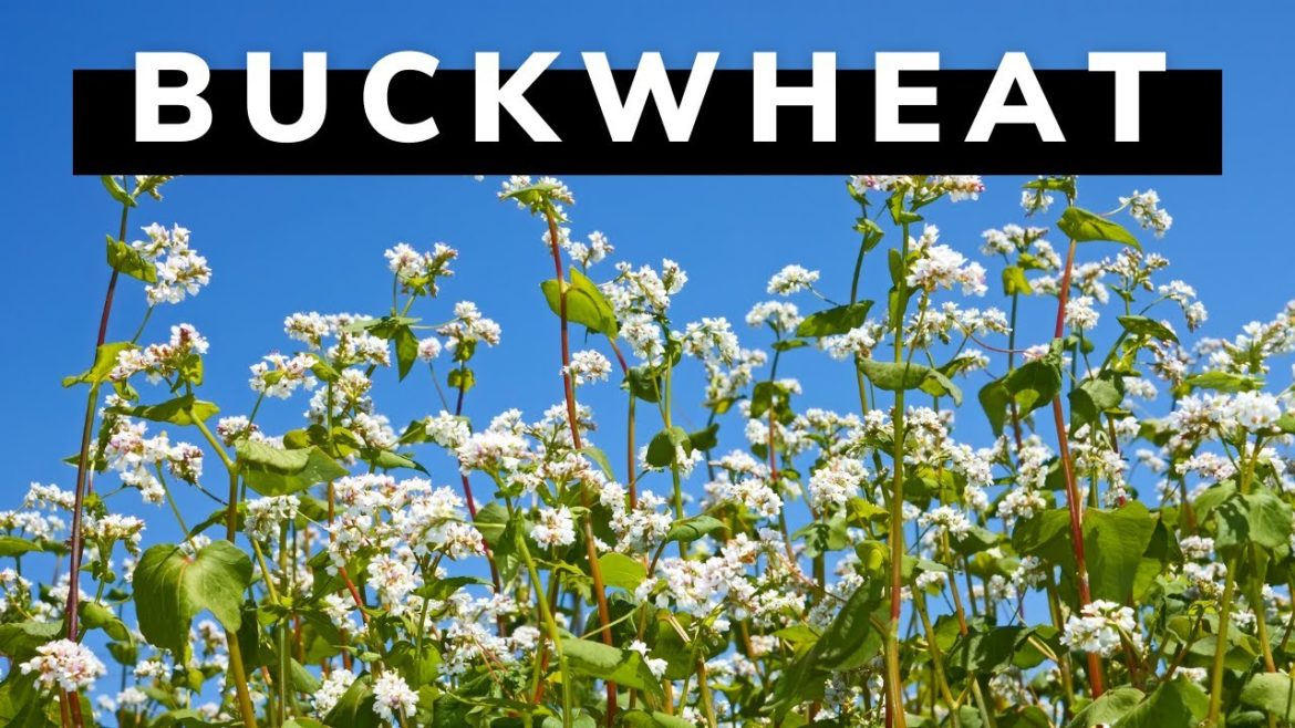 A Plant That Does Wonders for a Backyard Garden! A Plant That Does Wonders for a Backyard Garden!