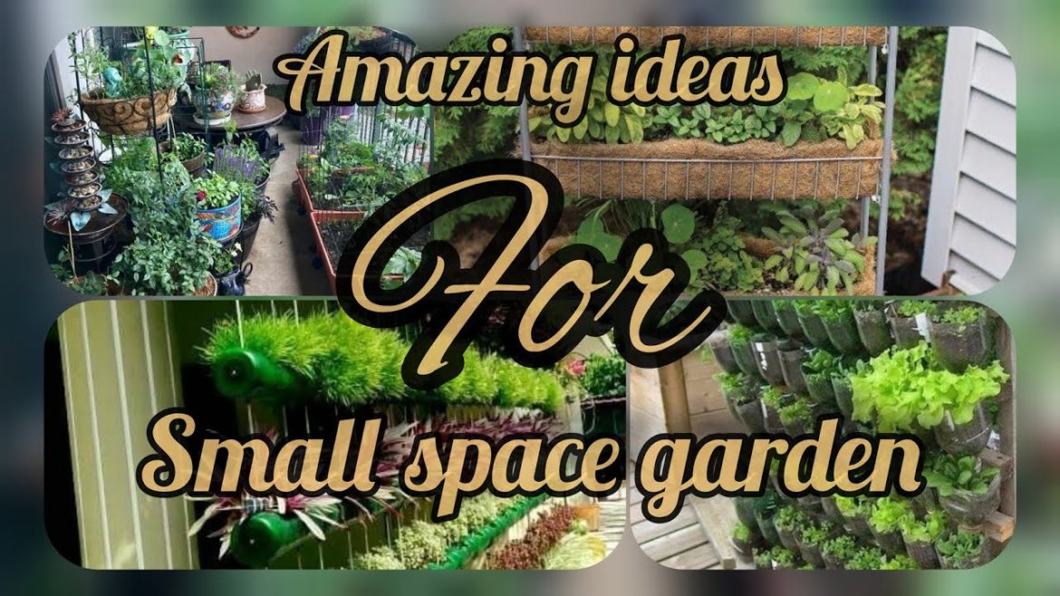 Small Garden Design Ideas for backyard landscaping ideas I Small Space Garden By 3X Gardening Small Garden Design Ideas for backyard landscaping ideas I Small Space Garden By 3X Gardening
