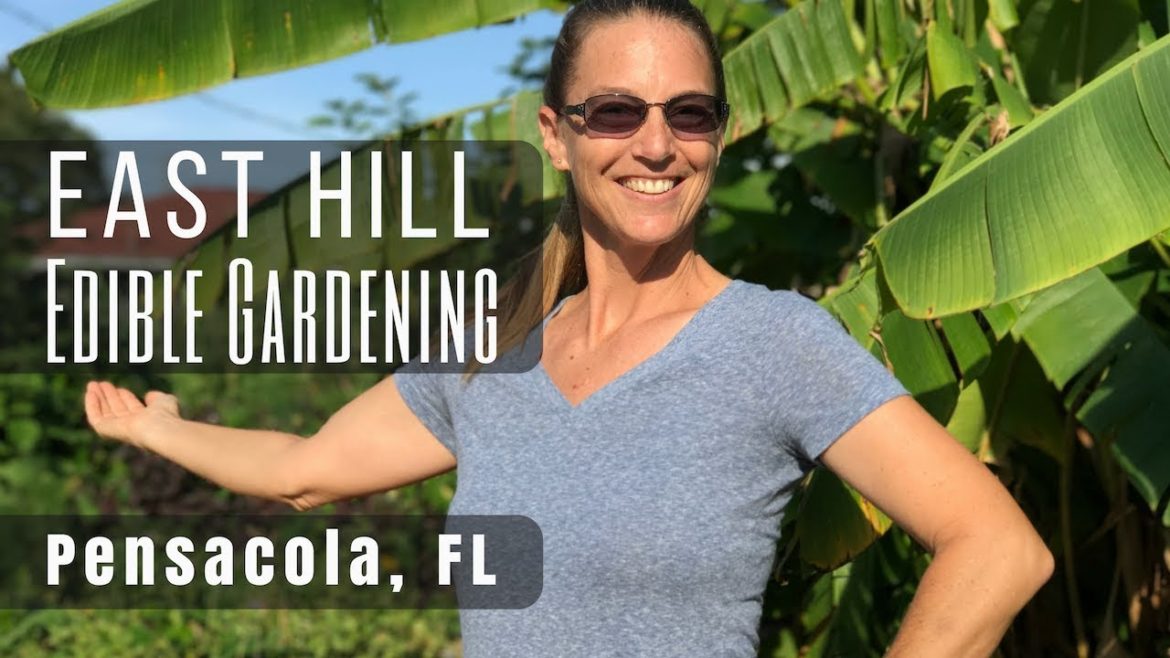 Front Yard Food Forest Tour in Pensacola