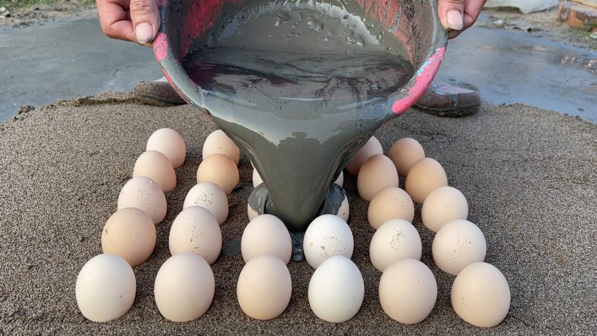 Crazy Cement ideas - Cement Craft Tips with Chicken Eggs - Garden Decoration ideas - DIY Aquarium