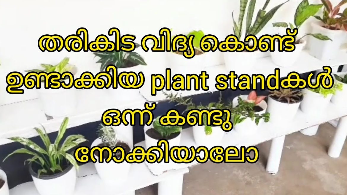 Zero cost plant stand Idea's for garden | Garden Idea's for home | Gardening tips