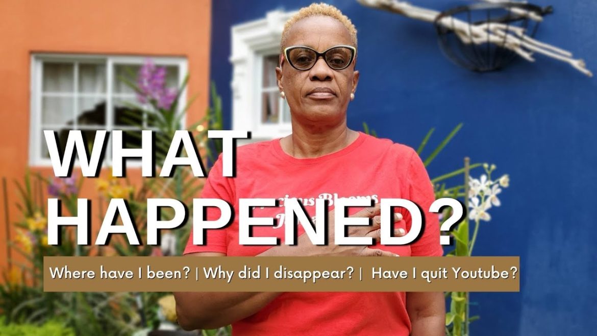 I lost my most precious orchid | Life Update I lost my most precious orchid | Life Update