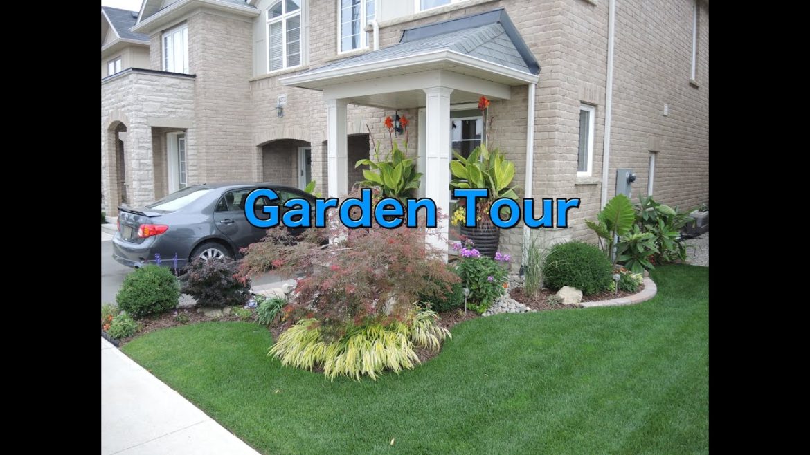 Front Yard Tour - August 2014