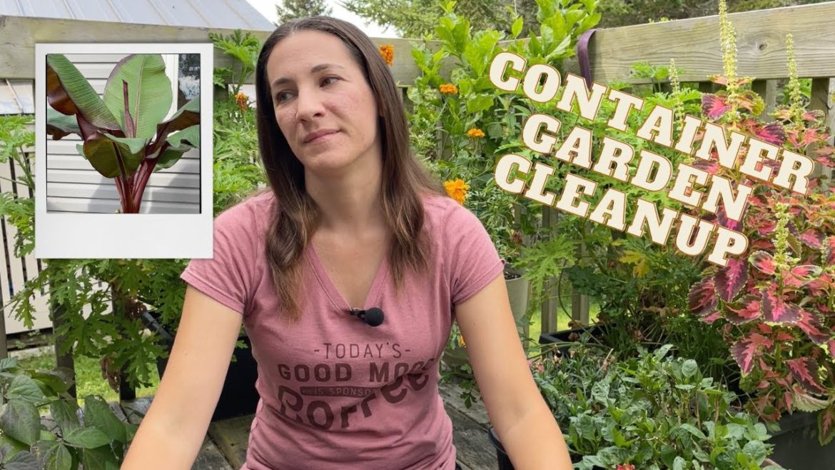 September Container Garden Cleanup & Maintenance 🪴Balcony Garden / Herb Garden / Polinator Garden