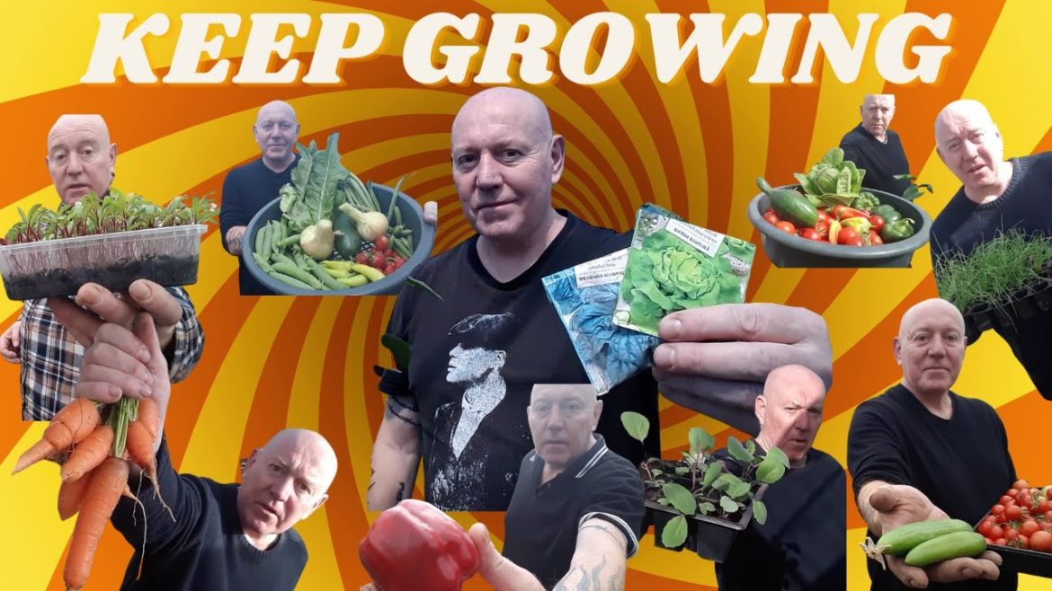 Keep Growing [Gardening Allotment UK] [Grow Vegetables At Home ]