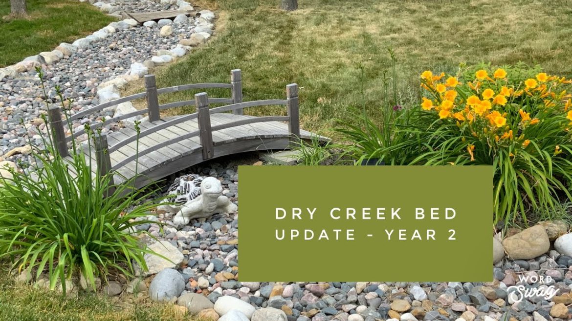 Backyard Dry Creek Bed & Landscaping Update