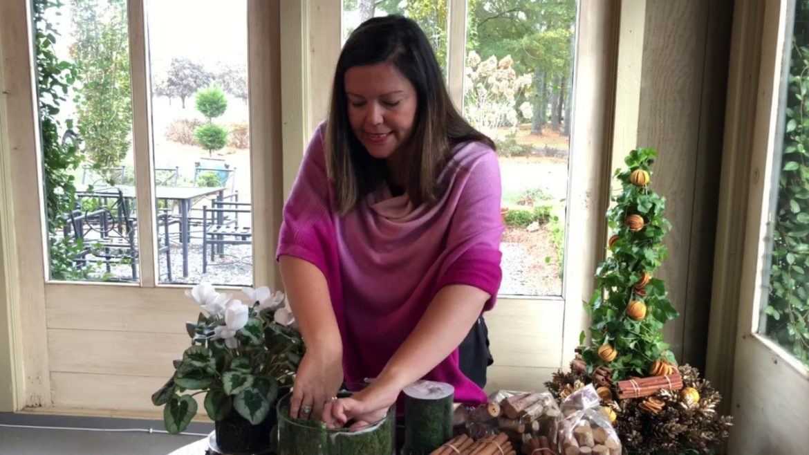 5 Minute Cyclamen Container Garden: The Ultimate Hostess or Teacher Present 5 Minute Cyclamen Container Garden: The Ultimate Hostess or Teacher Present