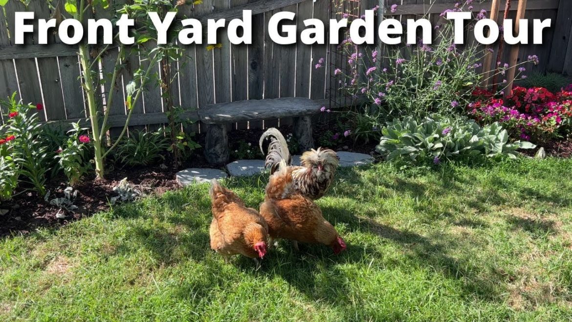August Front Yard Garden Tour August Front Yard Garden Tour