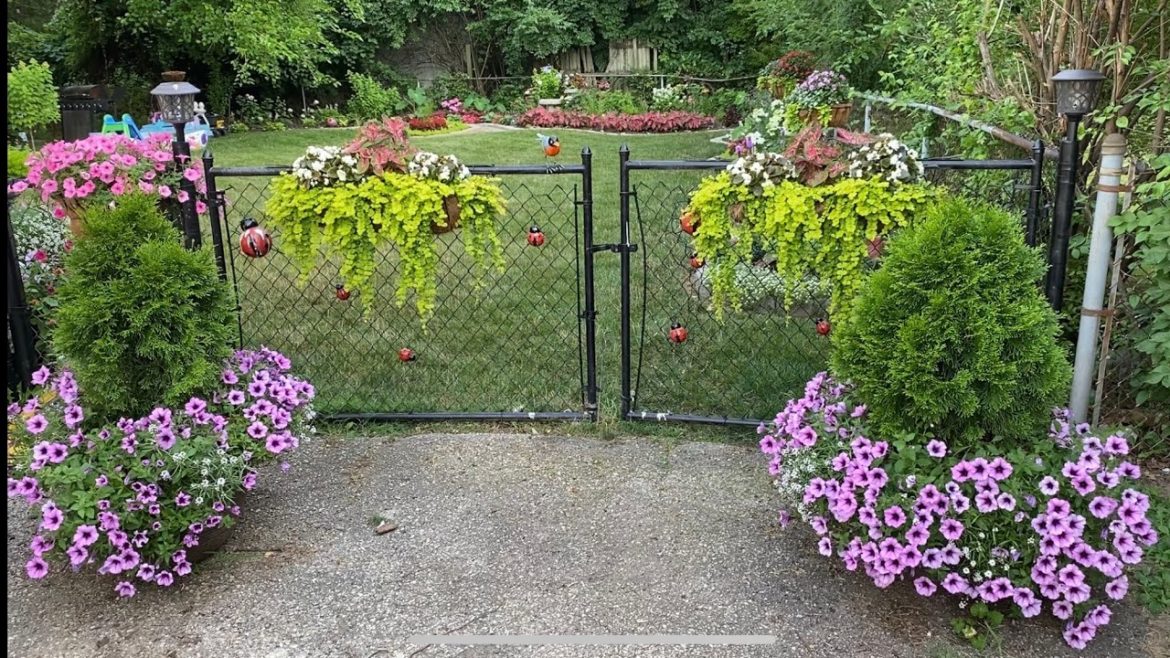 Backyard garden tour