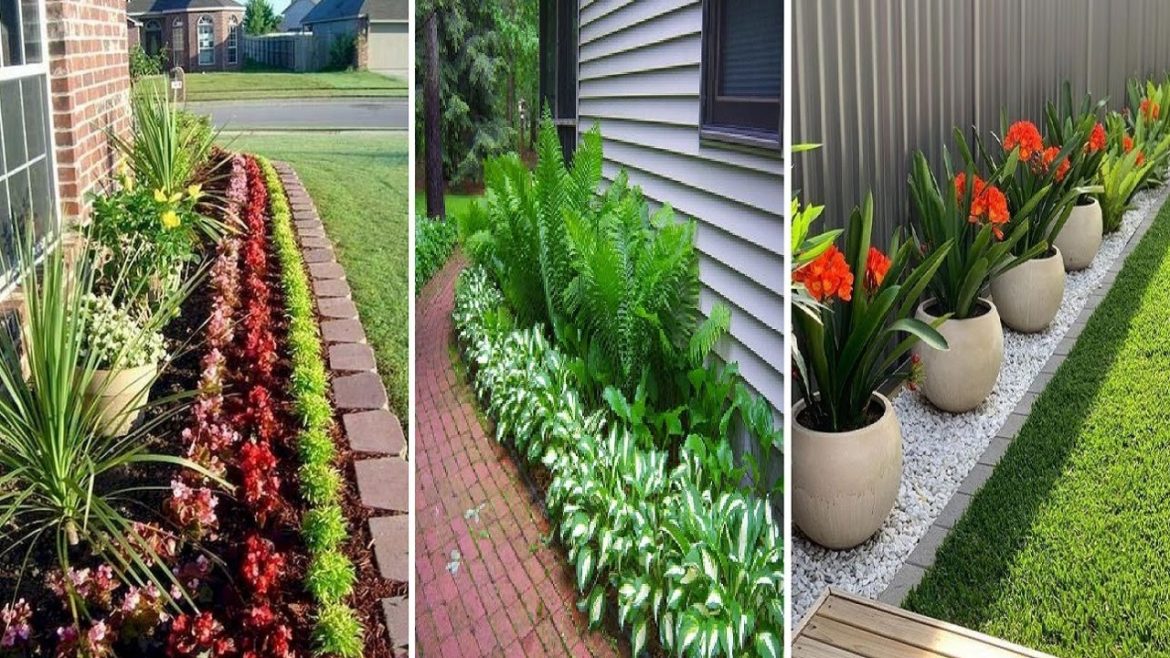 30 Eye Catching Front Yard Landscaping Ideas and Tips | garden  ideas 30 Eye Catching Front Yard Landscaping Ideas and Tips | garden  ideas