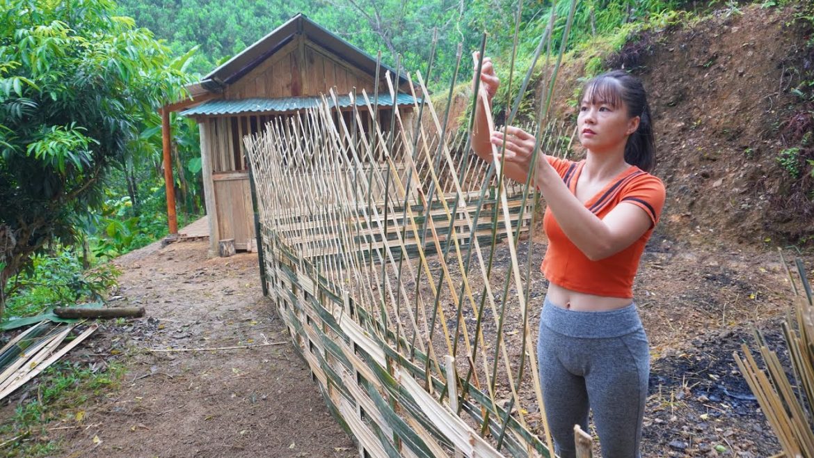 Full Video 90 Day BUILD CABIN, Make wooden furniture, Vegetable garden | Free Bushcraft Full Video 90 Day BUILD CABIN, Make wooden furniture, Vegetable garden | Free Bushcraft