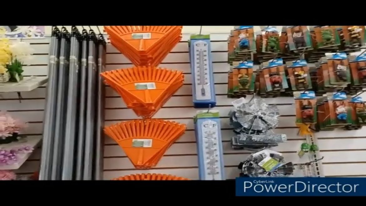 Oh Sookie Sookie Na This What We Doing Dollar Tree Gardening Update #1 New Supplies January 27, 2022 Oh Sookie Sookie Na This What We Doing Dollar Tree Gardening Update #1 New Supplies January 27, 2022