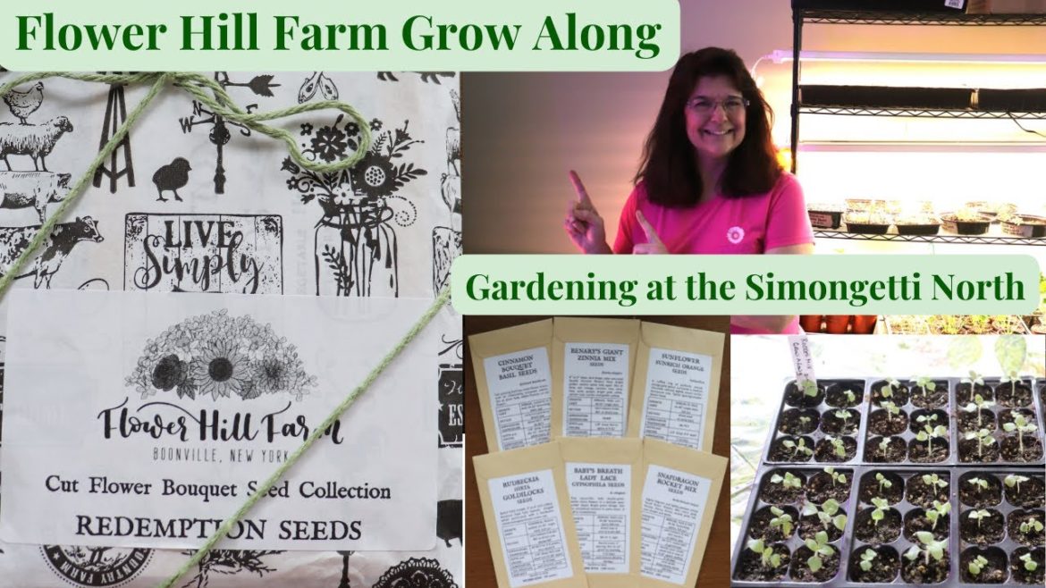 Flower Hill Farm Grow Along // Gardening at the Simongetti North Flower Hill Farm Grow Along // Gardening at the Simongetti North