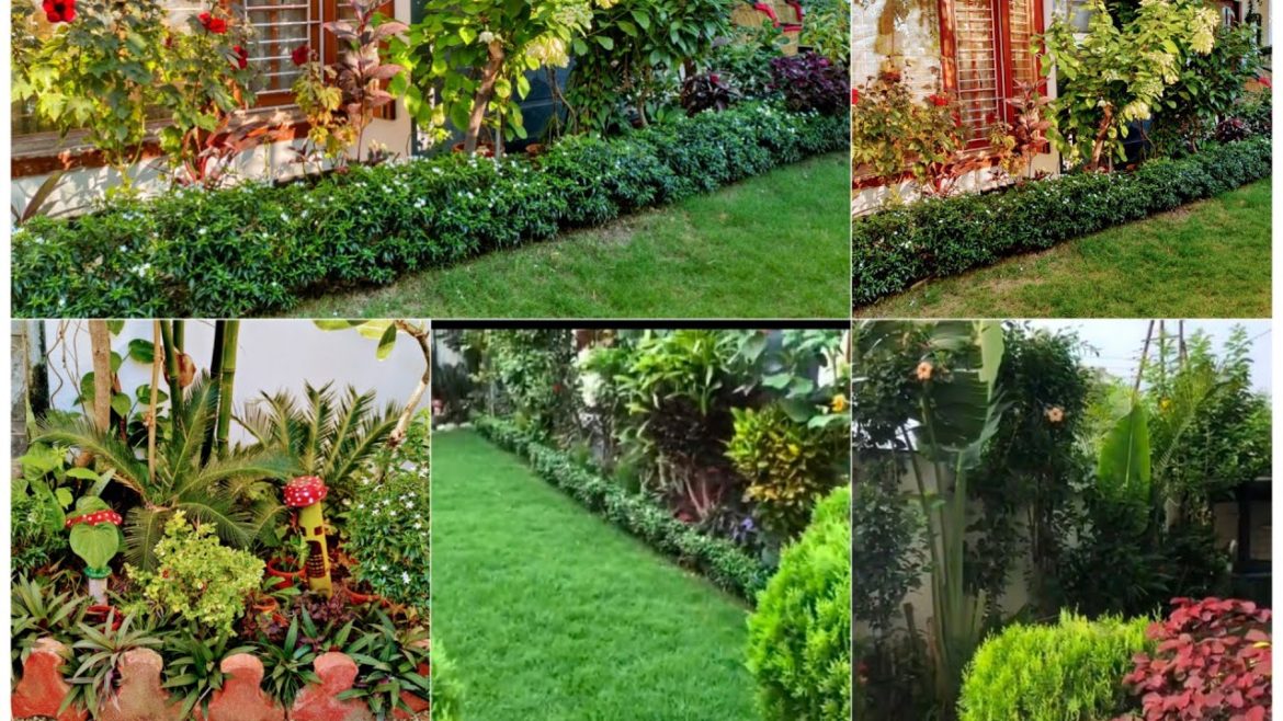 garden overview/ small garden 🏡 update/ house garden ideas 💡