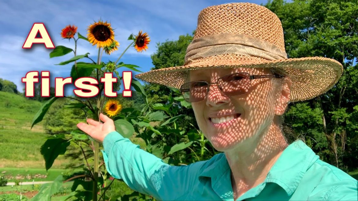 POLLINATORS in TROUBLE! Are you growing flowers!?!