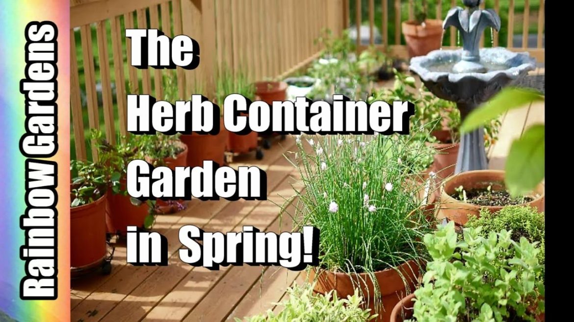 The Herb Container Garden - A Quick Tour, Scallions, Chervil, Blue Basil, More!