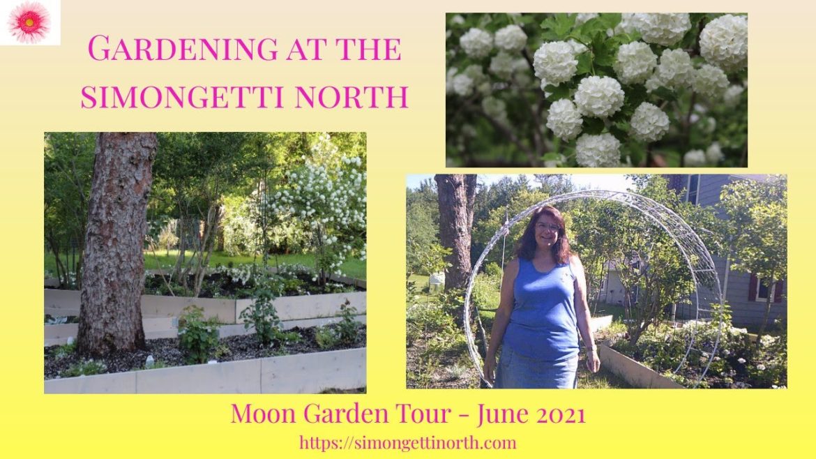 Moon Garden Tour – June 2021 ๐๐ผ // Gardening at the Simongetti North Moon Garden Tour - June 2021 ๐๐ผ // Gardening at the Simongetti North