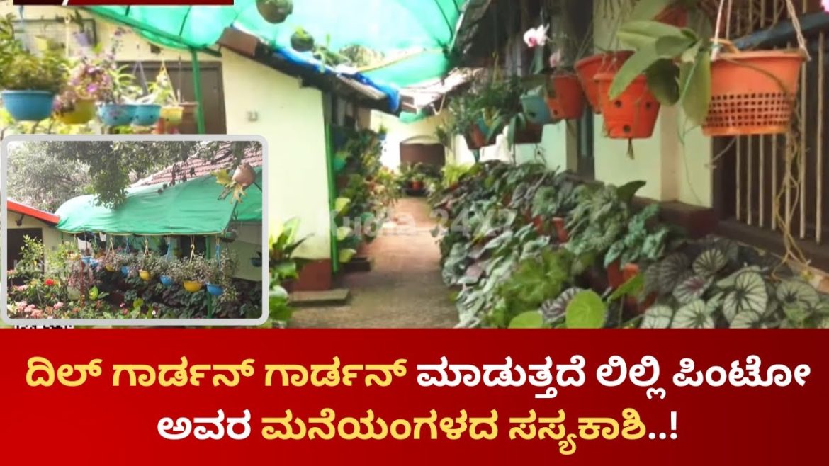 Home Garden Tips | ಸಿಟಿಯ ಮಧ್ಯದಲ್ಲಿರುವ ಲಿಲ್ಲಿ ಪಿಂಟೋ ಅವರ ಕಣ್ಮನ ಸೆಳೆಯುವ ಸಸ್ಯಕಾಶಿ ಹೇಗಿದೆ ಗೊತ್ತಾ..?!