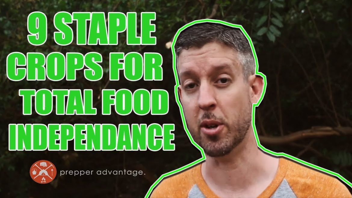 Organic Vegetable Gardening for Survival Food Sustainability Organic Vegetable Gardening for Survival Food Sustainability