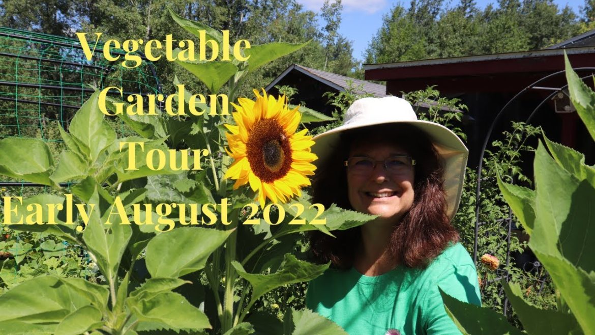 Garden Tour Vegetable August 2022 // Gardening at the Simongetti North Garden Tour Vegetable August 2022 // Gardening at the Simongetti North