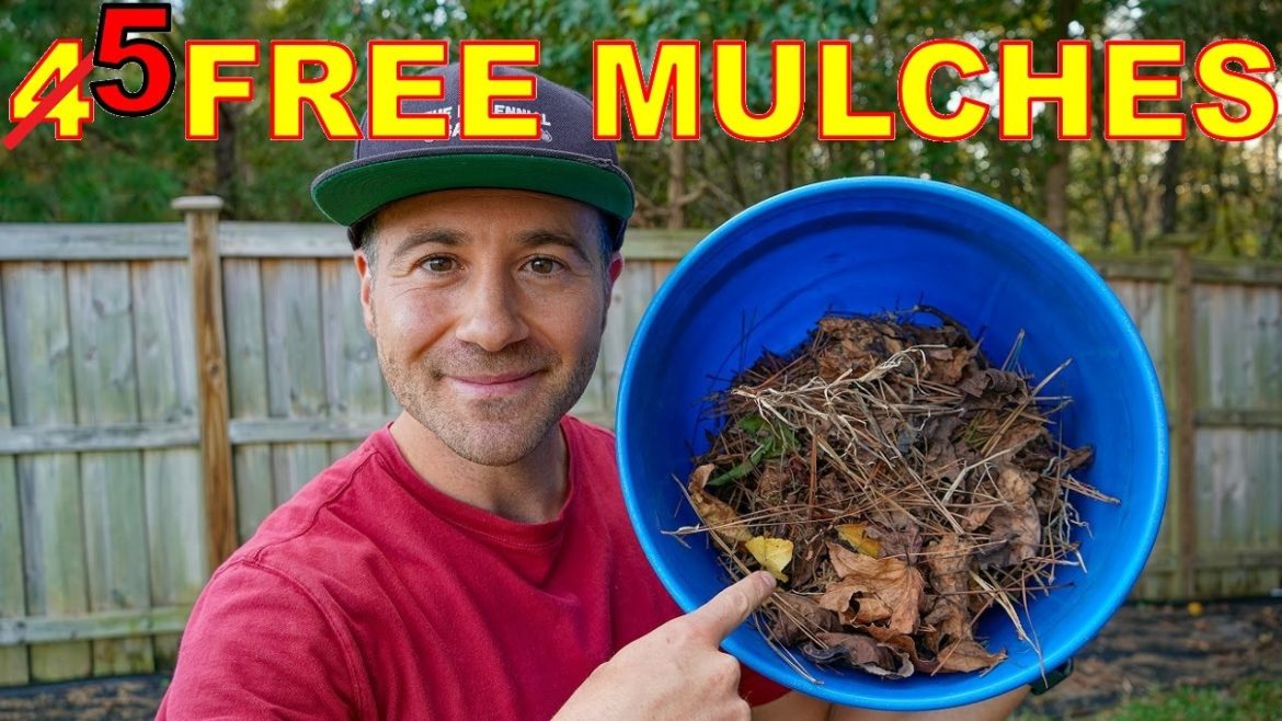 Big Box Stores Don't Want You To Know These FREE MULCH Hacks For Your Garden And Fruit Trees Big Box Stores Don't Want You To Know These FREE MULCH Hacks For Your Garden And Fruit Trees