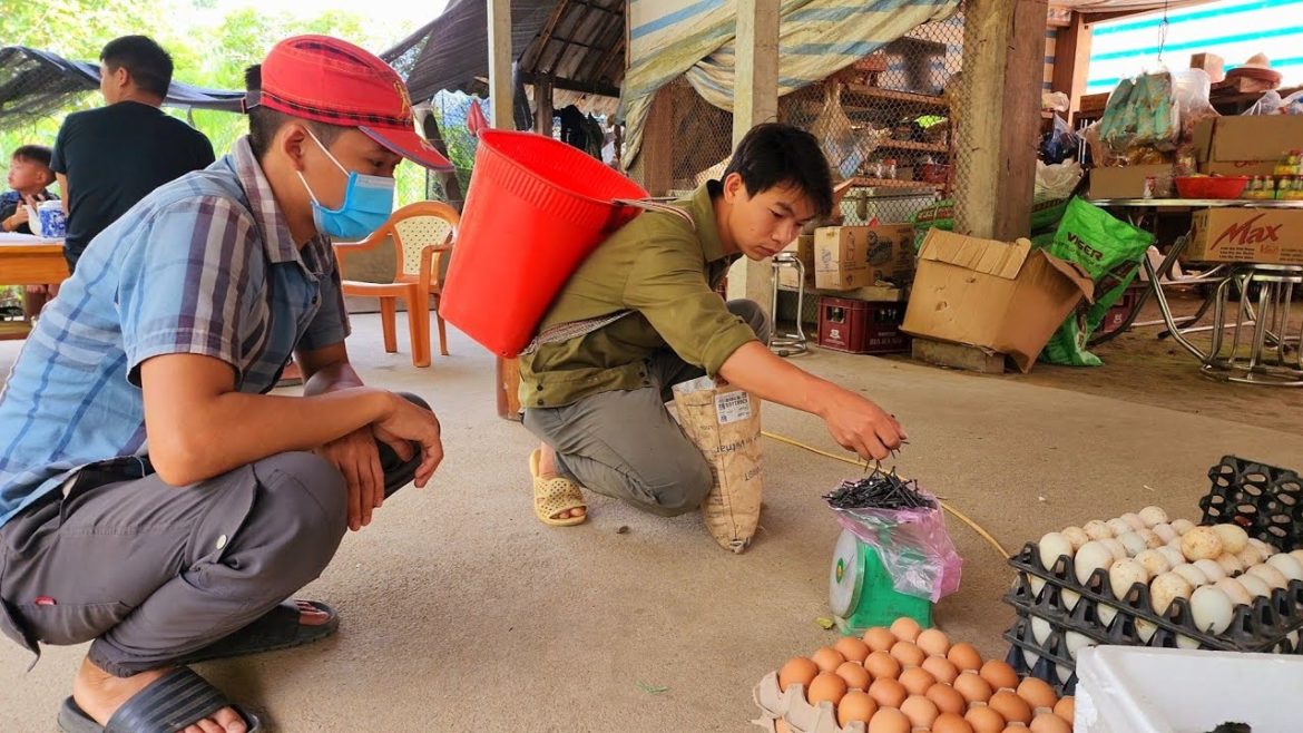 Gardening, Picking Vegetables, Harvesting Fish Sold in The Village, Living With Nature, Free Life