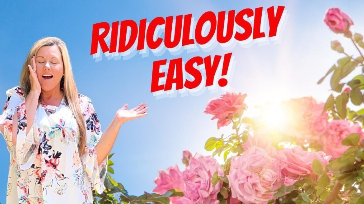 3 SUPER SIMPLE tips for growing NO FUSS Roses for beginners + Unboxing climbing roses