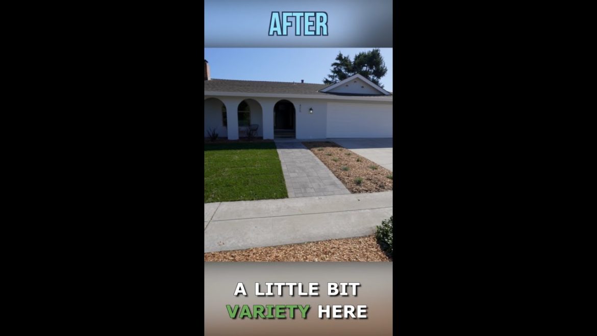 Curb Appeal Before and After – Front Yard Makeover, Pavers, Lawn & Drought Resistant Landscaping Curb Appeal Before and After - Front Yard Makeover, Pavers, Lawn & Drought Resistant Landscaping