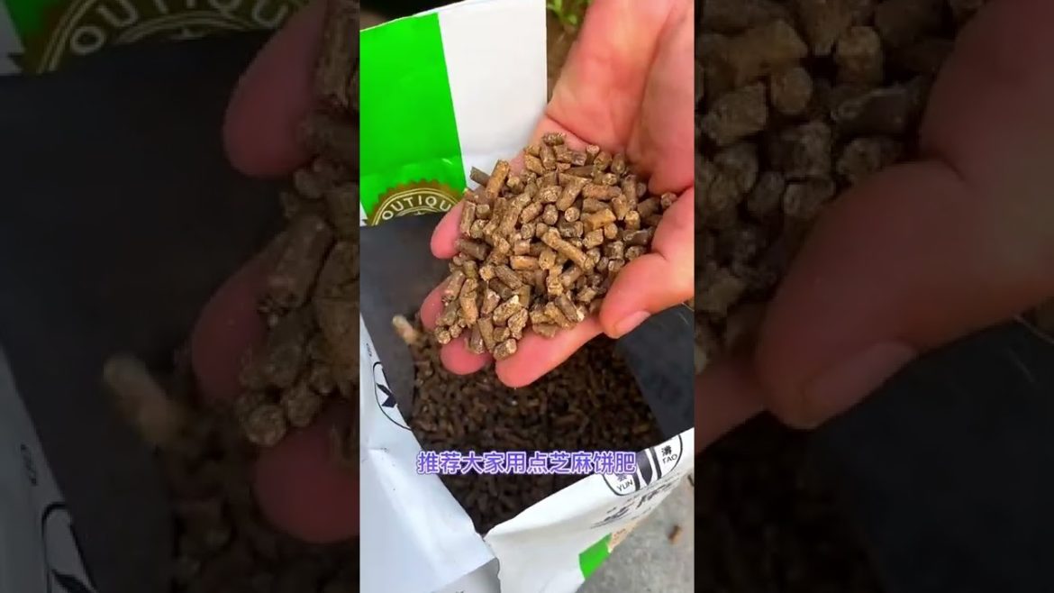October 2022 Tips for garden  at home with me