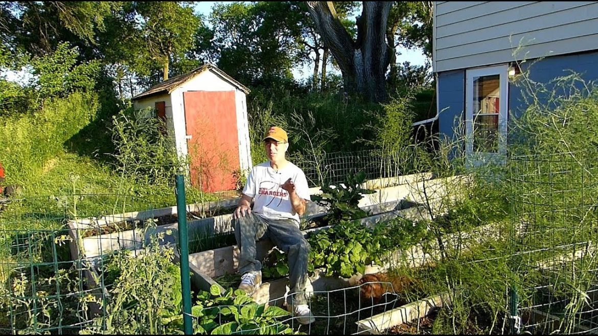 Successful No water Gardening!