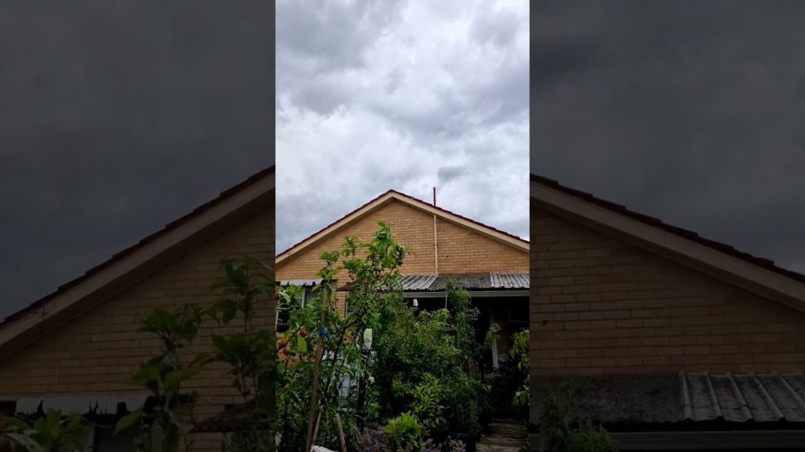 Preparing To Face the Storms in Melbourne, Australia! Hopefully the fruit loss is less this year!