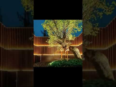 Landscape Desing ideas Best ideas for  garden and landscape #5466     #shorts 10 Landscape Desing ideas Best ideas for  garden and landscape #5466     #shorts 10