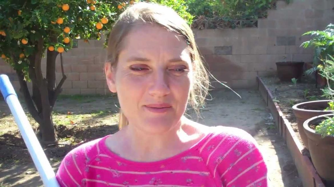 Gardening Tips and Tools